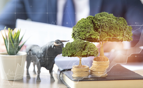 广州报税公司选择要求详解、怎么选？